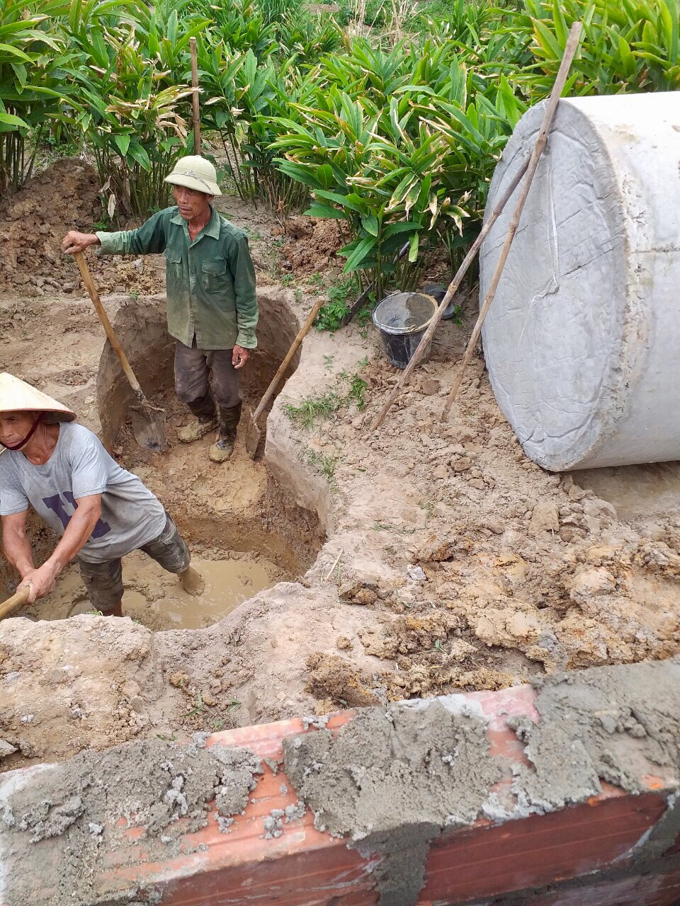 xây nhà vệ sinh