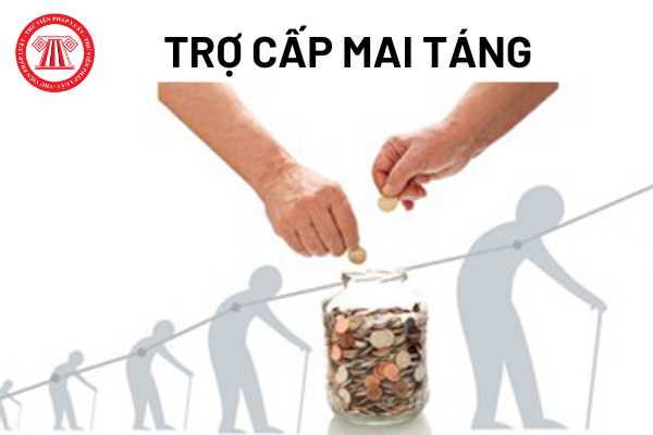 tro cap mai tang