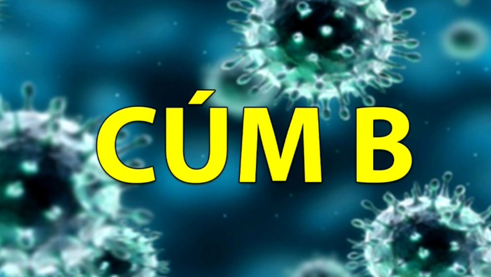 cúm B